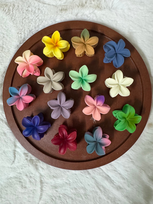 Matte Finished Flower Claw Clip – Small